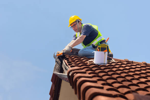 Best Gutter Installation and Repair  in Ames, IA